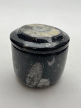 Fossil gift box, natural black Orthoceras fossils - RocciaRoba